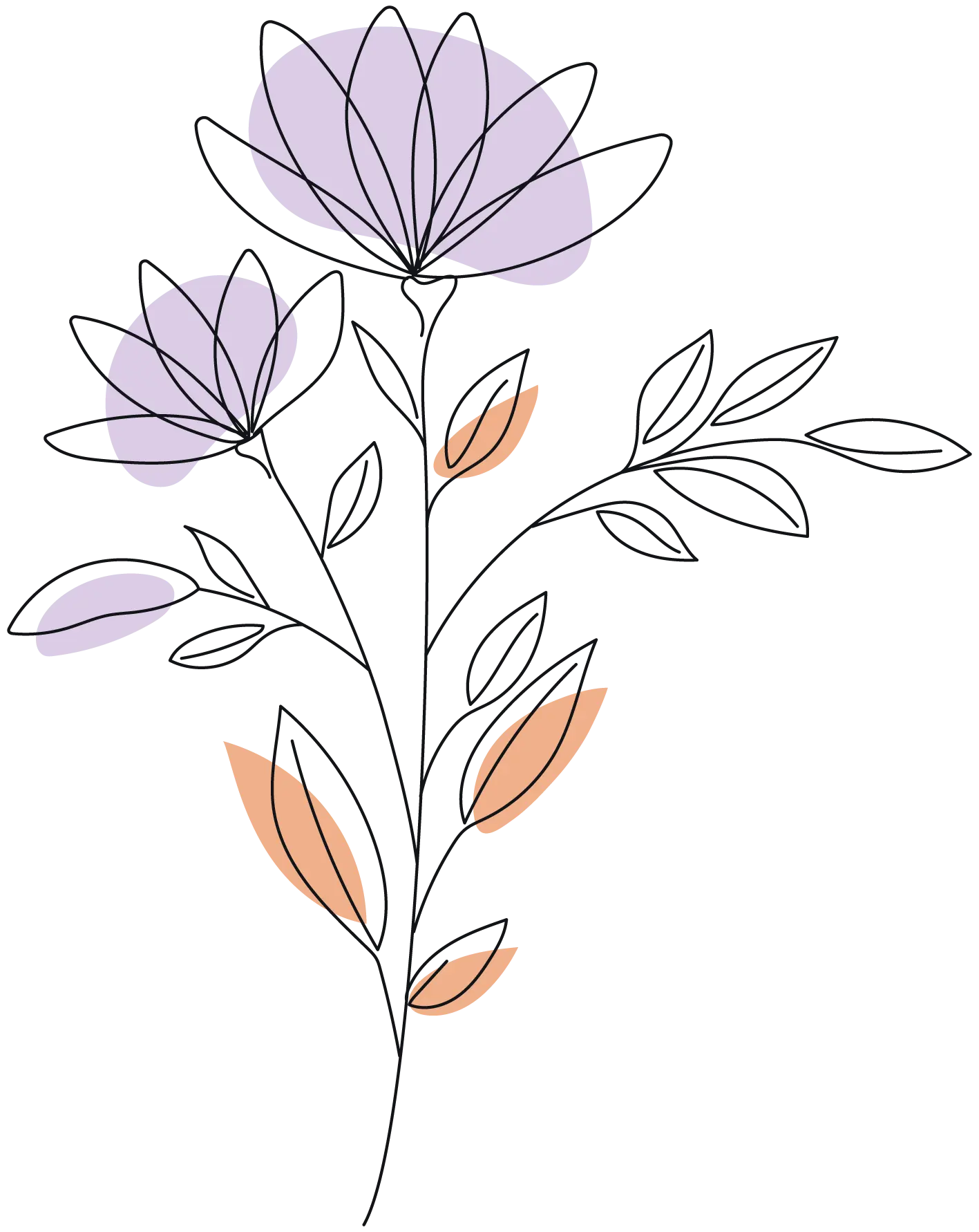 Decoración de flores